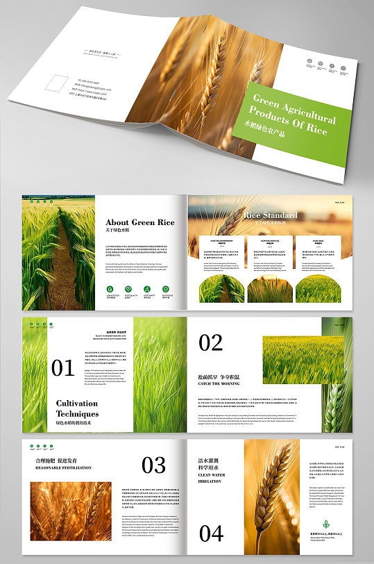绿色水稻小麦农业农产品宣传画册