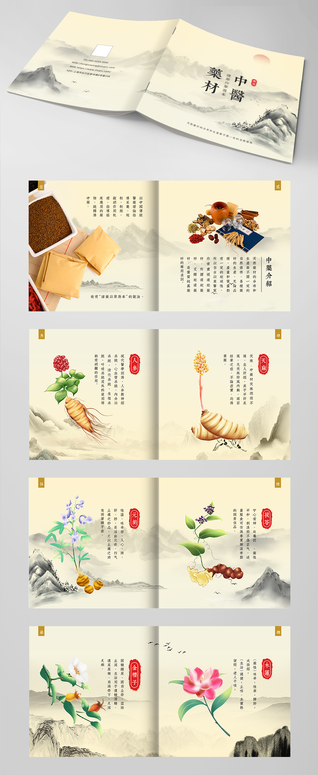 中国风中医中药药材介绍宣传画册素材