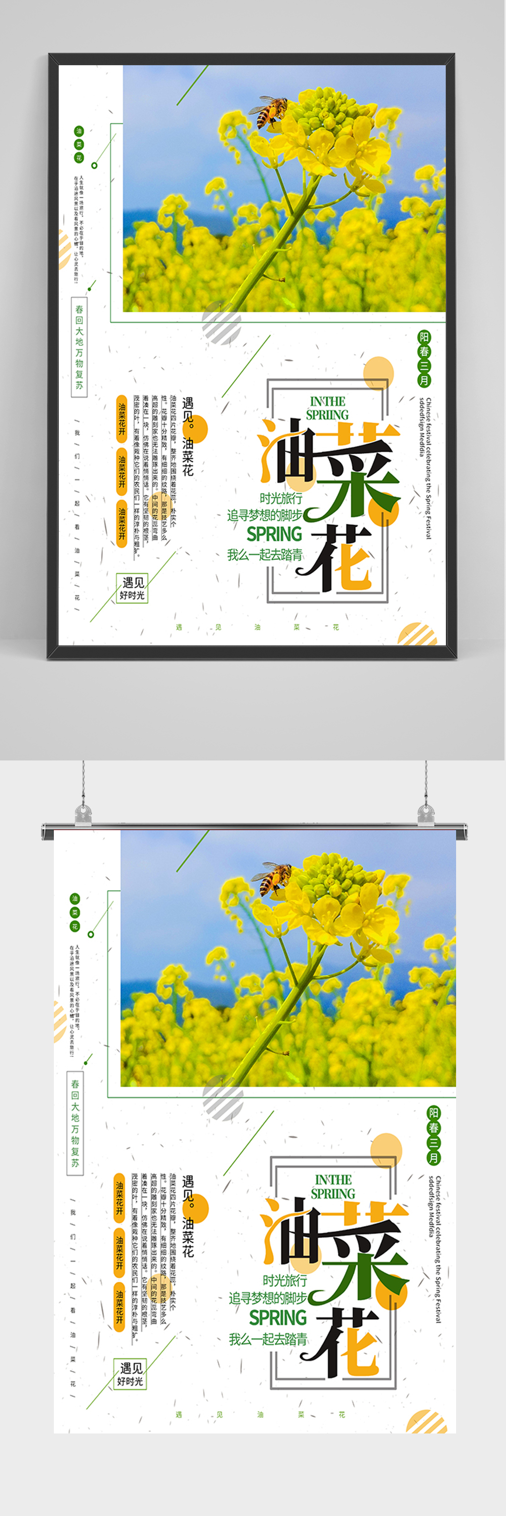 简洁清新油菜花海报素材