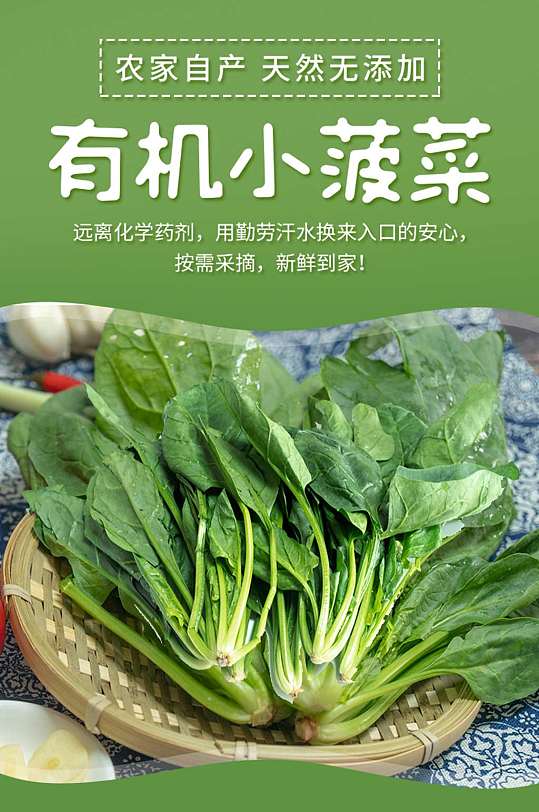 有机小菠菜详情设计