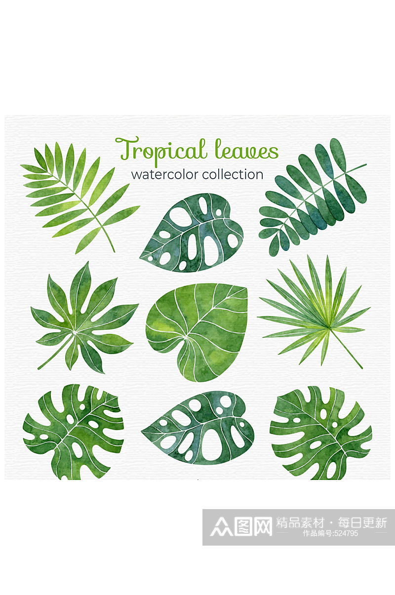 9款水彩绘热带树叶矢量素材素材