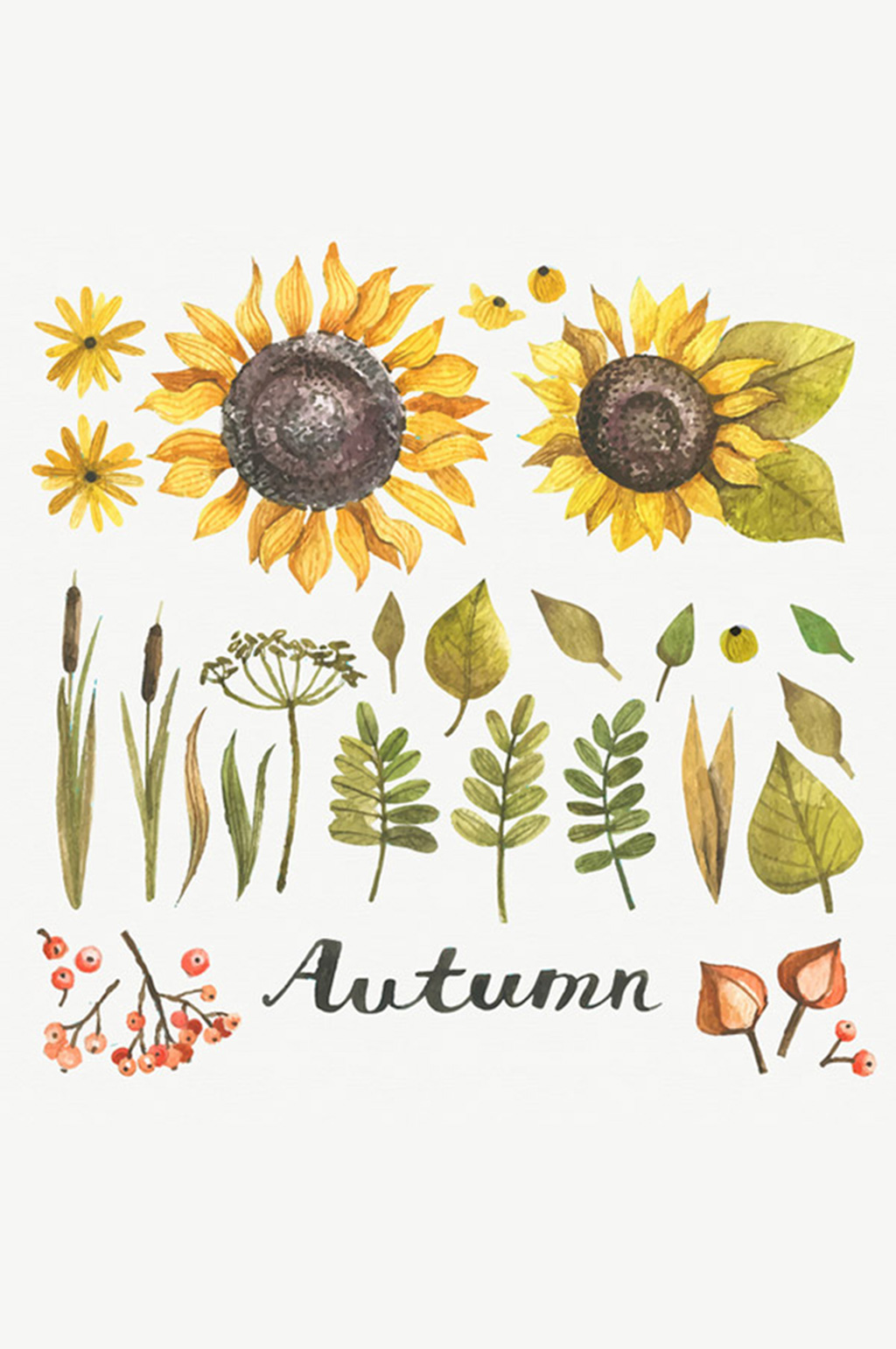 多款植物矢量元素设计