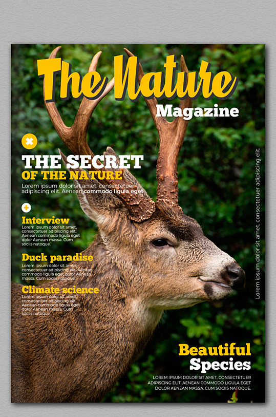 创意驯鹿自然杂志封面矢量图