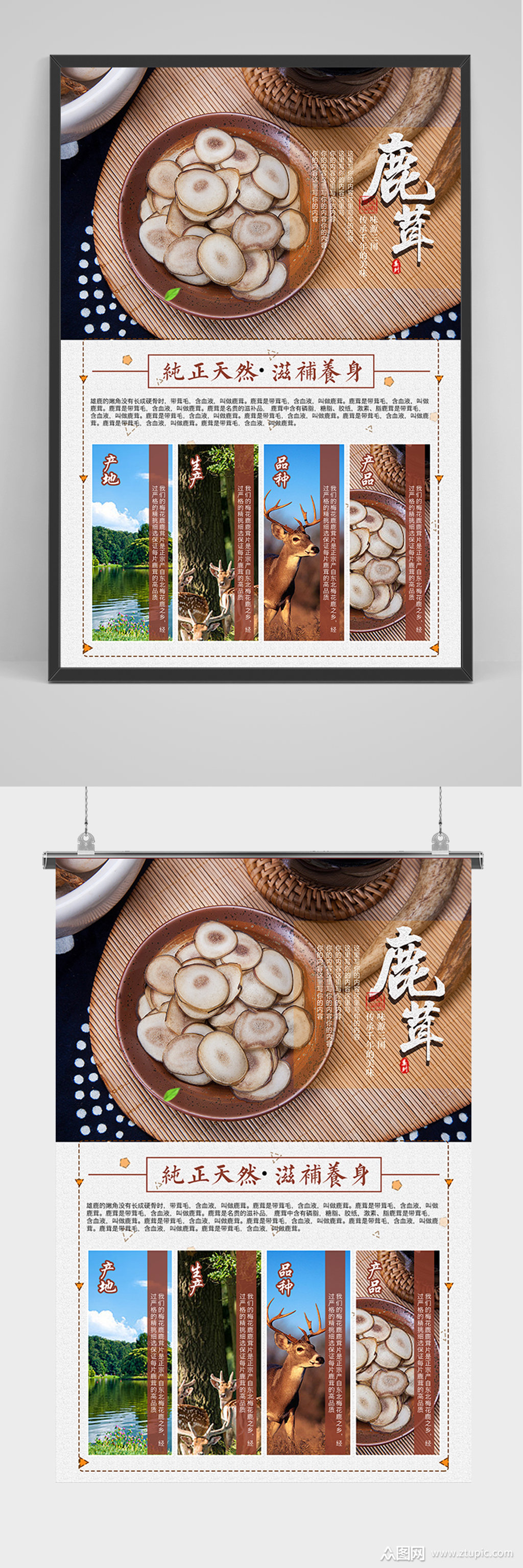 中药天然鹿茸海报