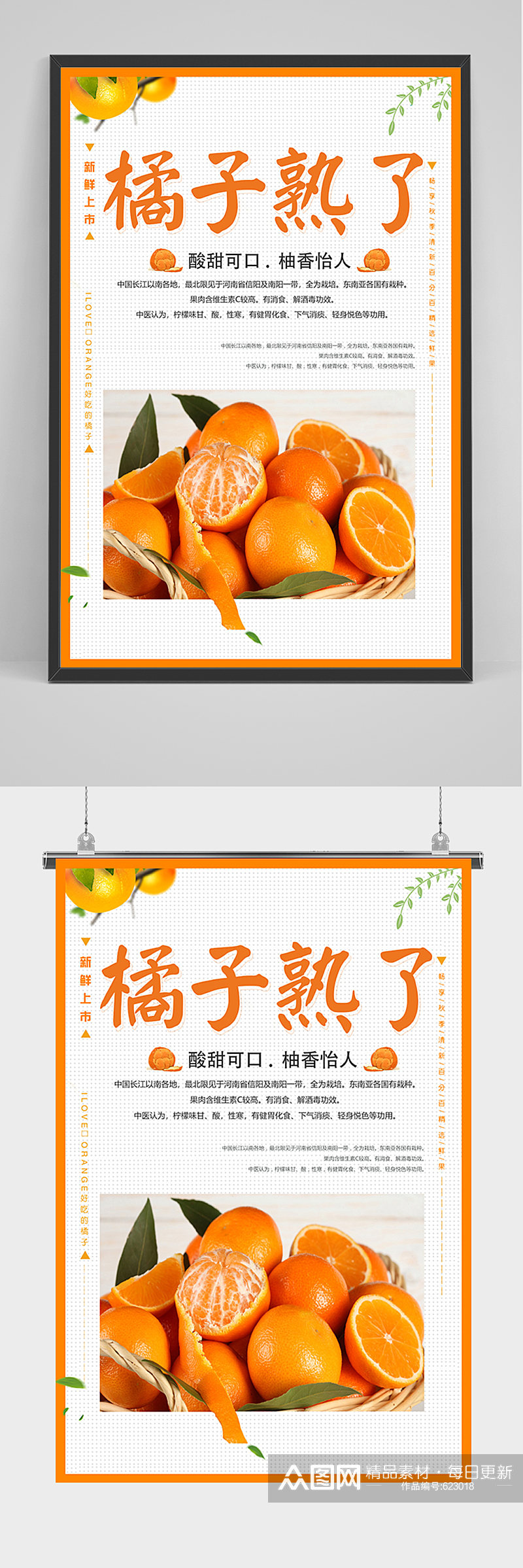 简洁橘子熟了海报素材