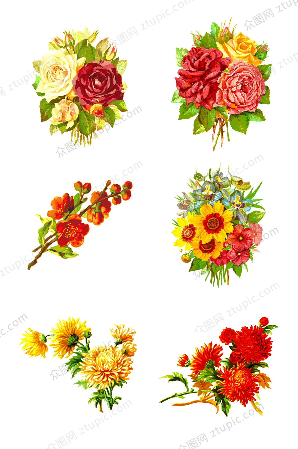 手绘花朵菊花玫瑰素材