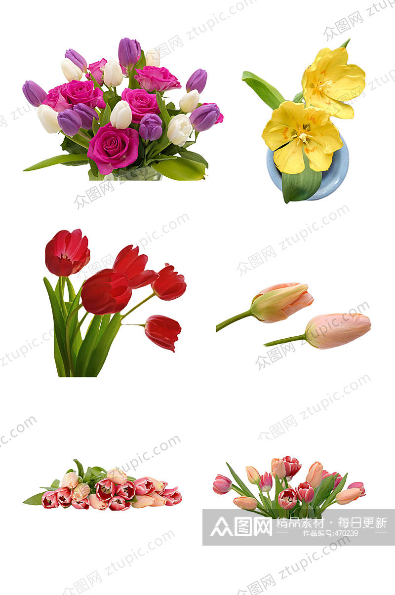 郁金香花朵花束素材素材