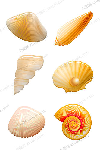 卡通沙滩海螺贝壳