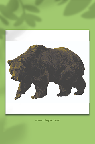 动物熊描点矢量图