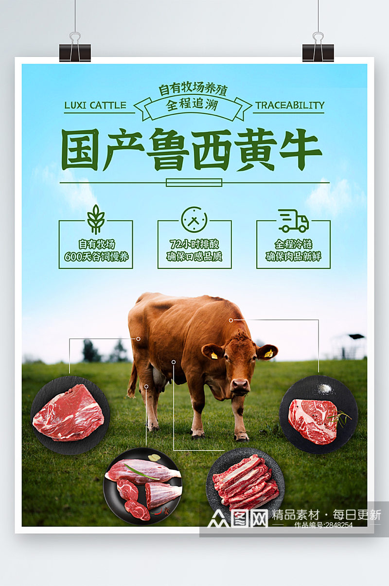 国产牛肉促销海报宣传单素材