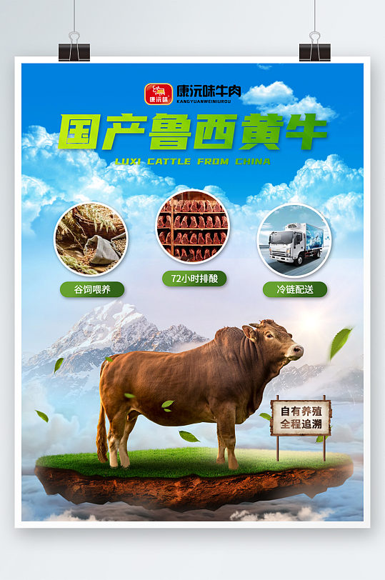 国产鲁西黄牛宣传促销海报