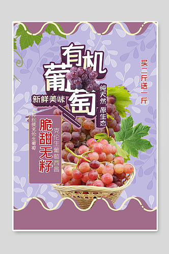有机葡萄水果促销宣传