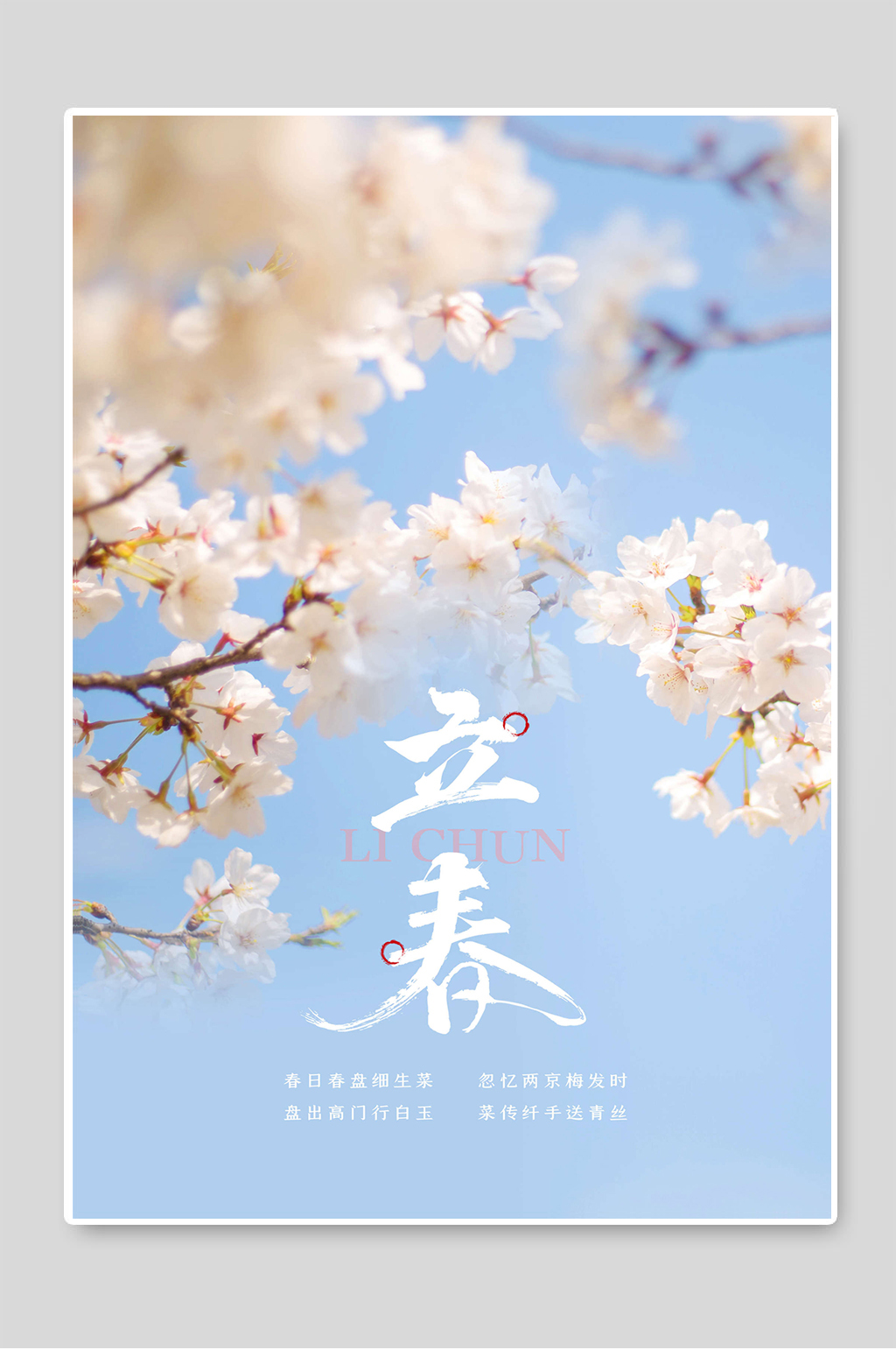 立春节气中国传统节日海报素材
