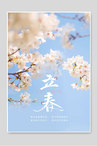 立春节气中国传统节日海报