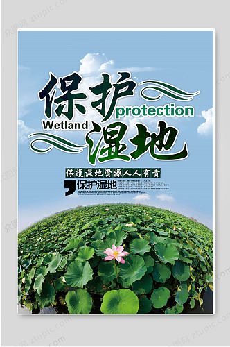 世界湿地日保护湿地资源公益海报宣传