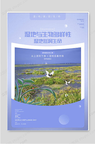 世界湿地日保护地球公益海报
