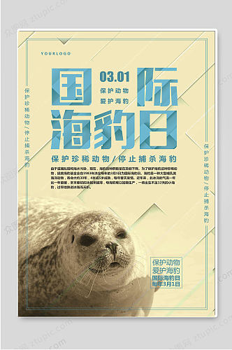 国际海豹日保护动物爱护海豹