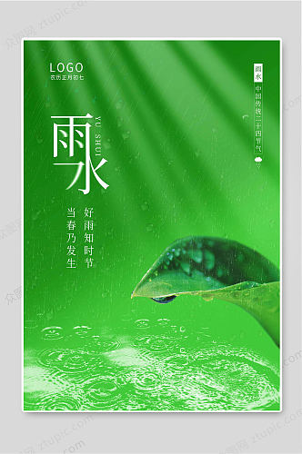 雨水24传统节气绿色背景海报