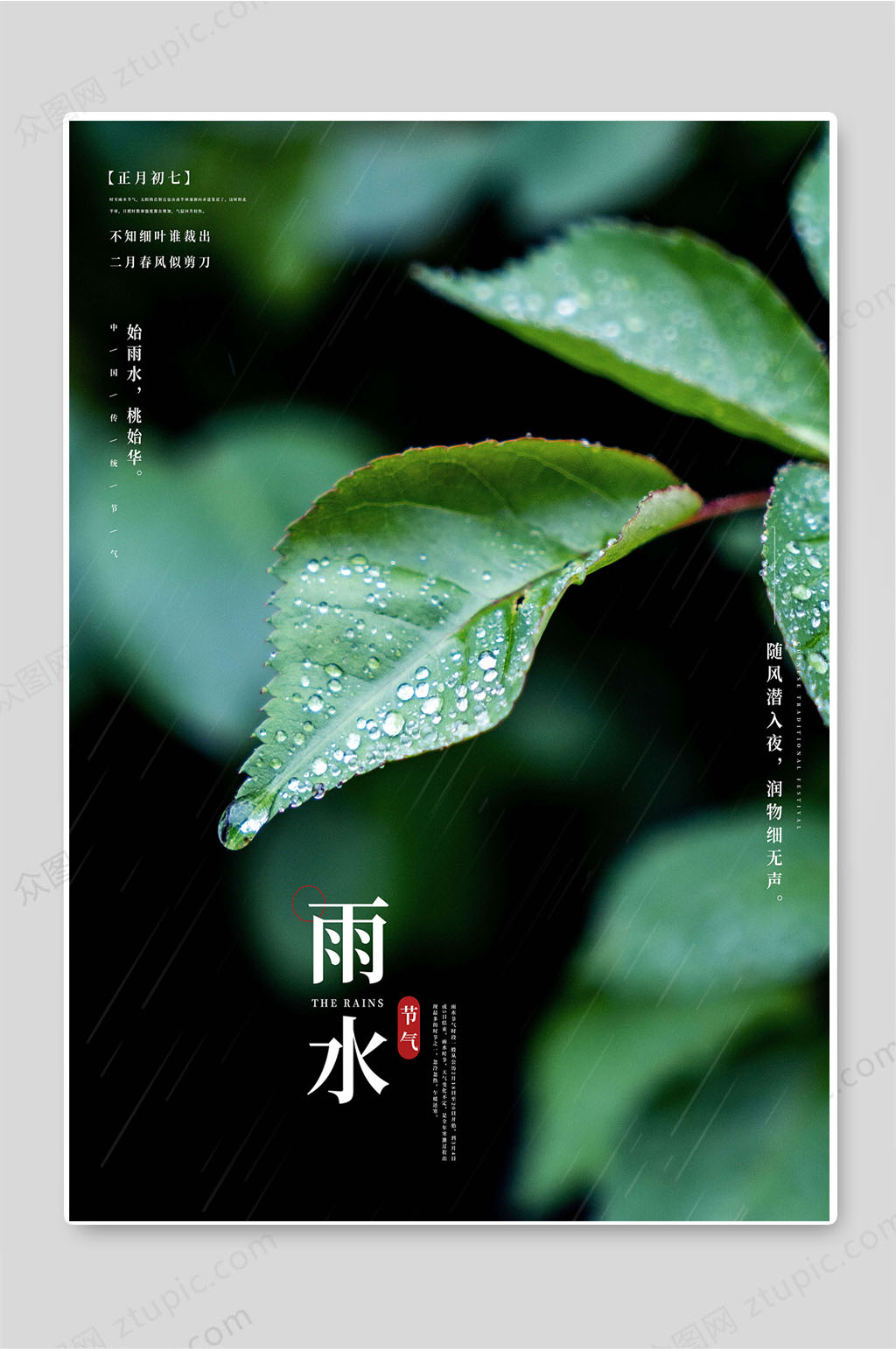 雨水节气传统二十四节气海报素材