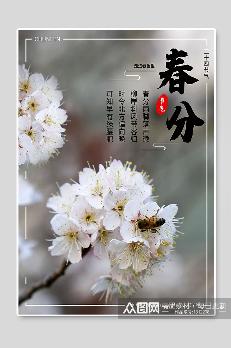 春分二十四节气花朵海报宣传素材