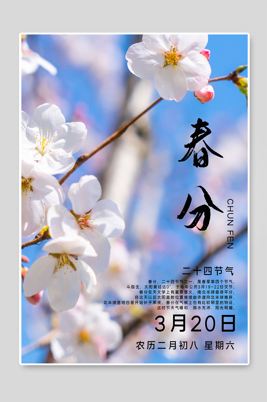 春分二十四节气创意海报设计素材