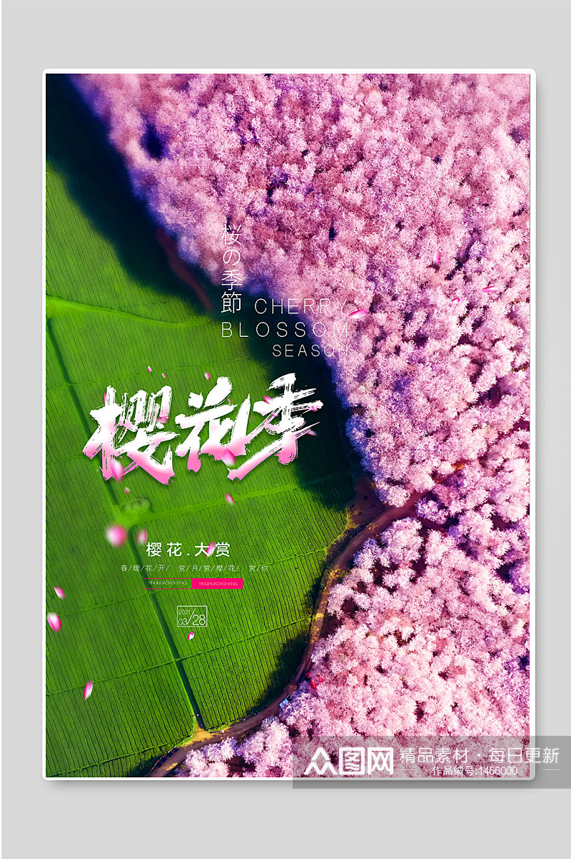 樱花季一起去赏樱花宣传海报素材