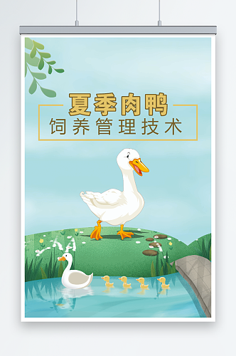 夏季肉鸭饲养养殖管理技术海报
