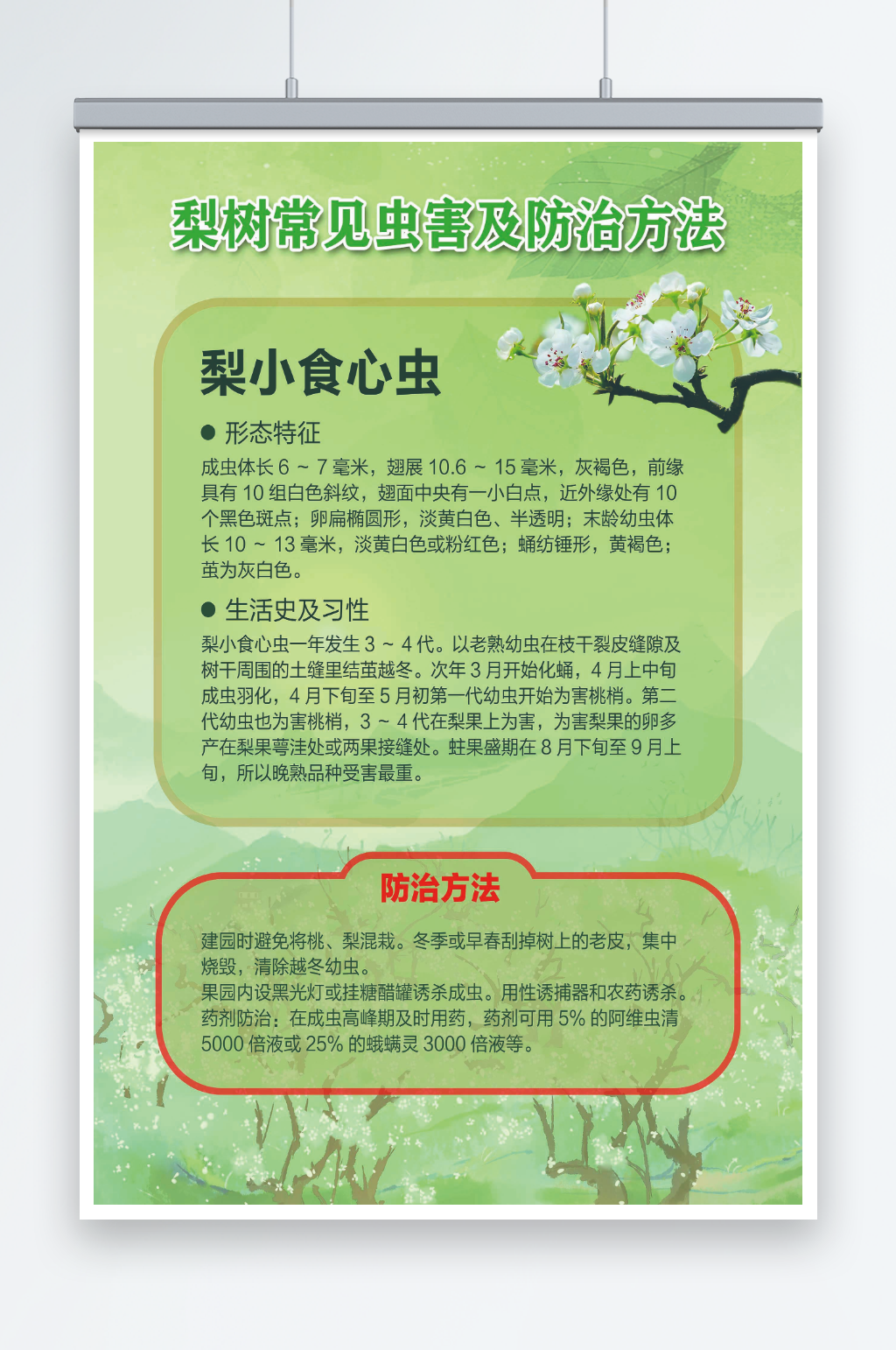 梨树常见虫害及防治方法海报素材