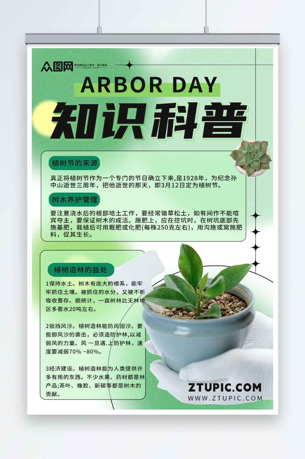 绿色植树节知识科普摄影图海报素材