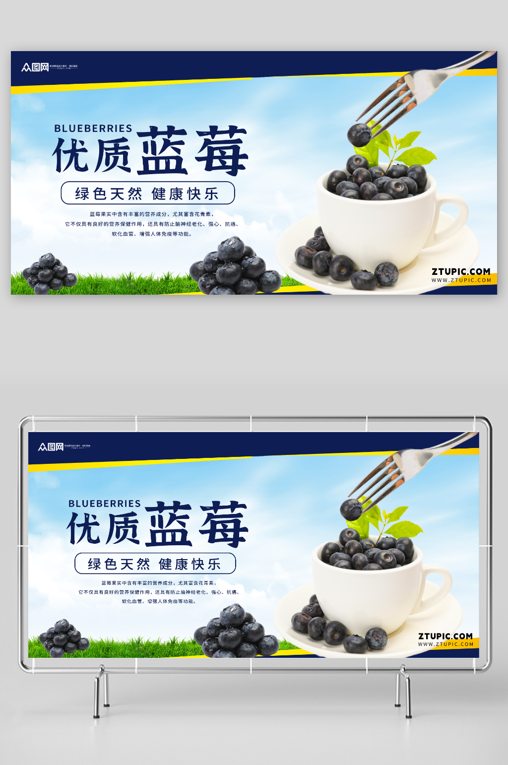 简约优质蓝莓水果店图片展板素材