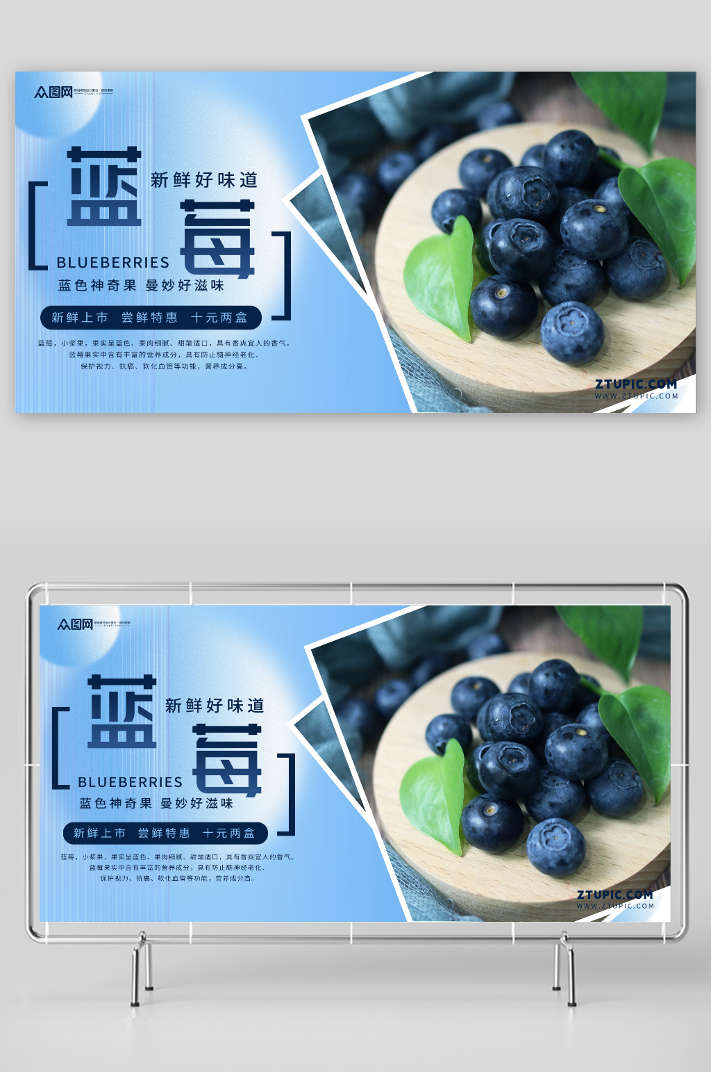 简约蓝莓水果店图片展板素材