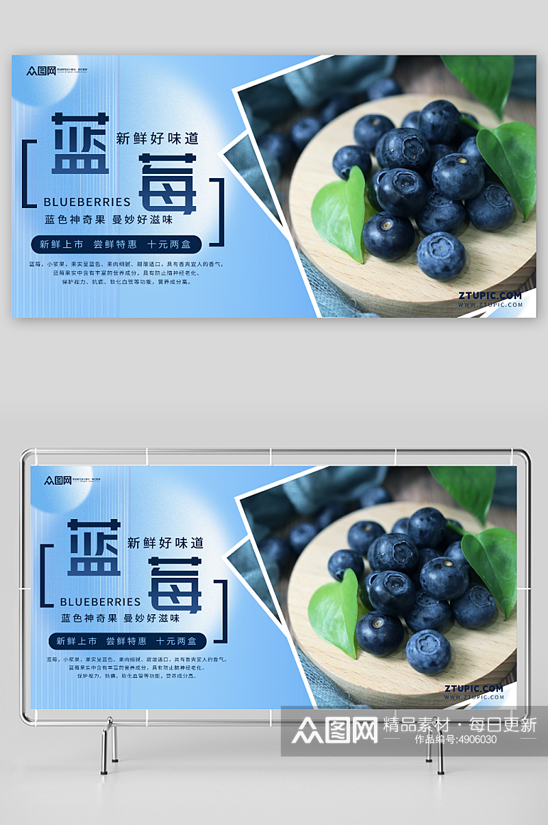 简约蓝莓水果店图片展板素材