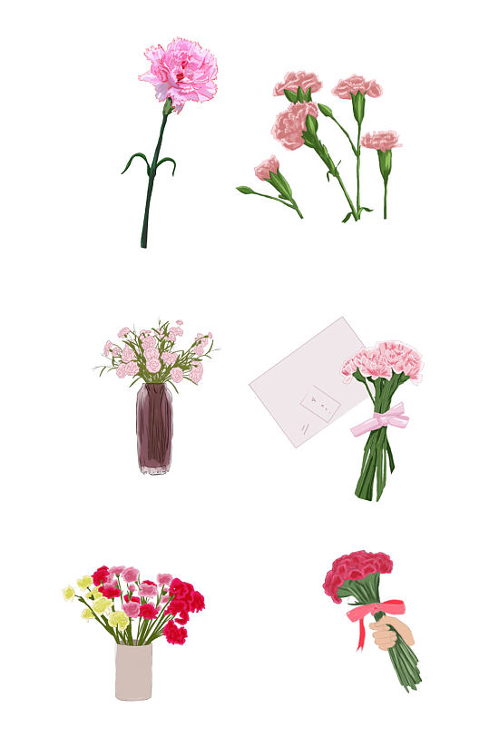 手绘康乃馨鲜花花卉元素插画