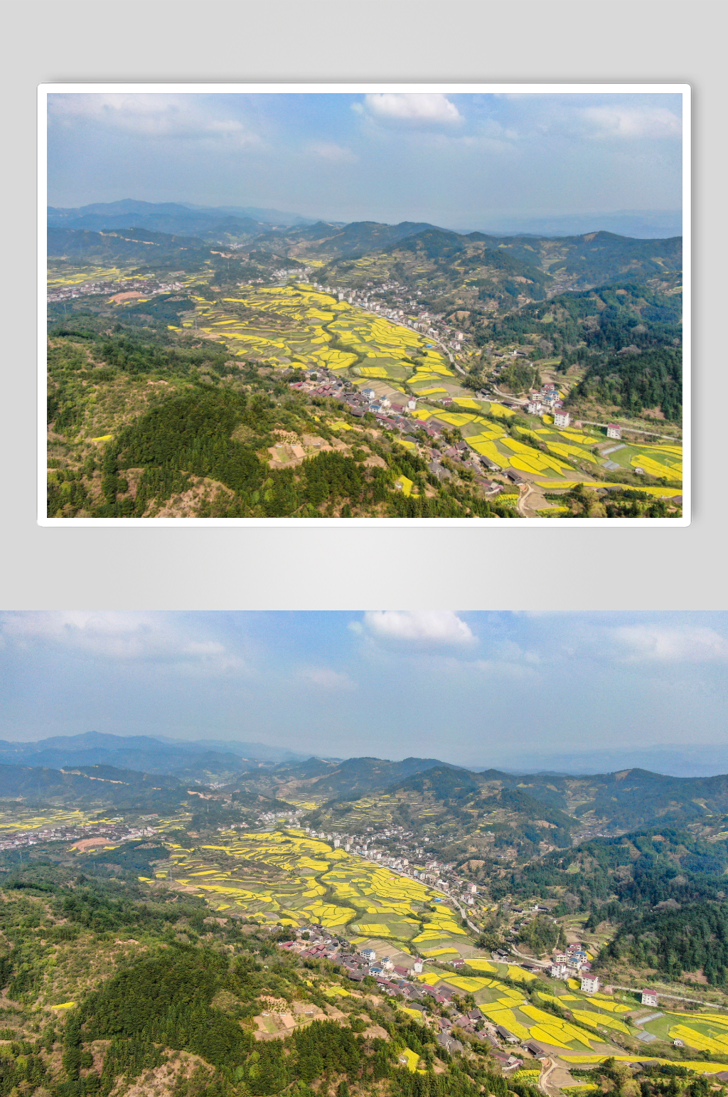 美丽乡村田园山川油菜花航拍素材