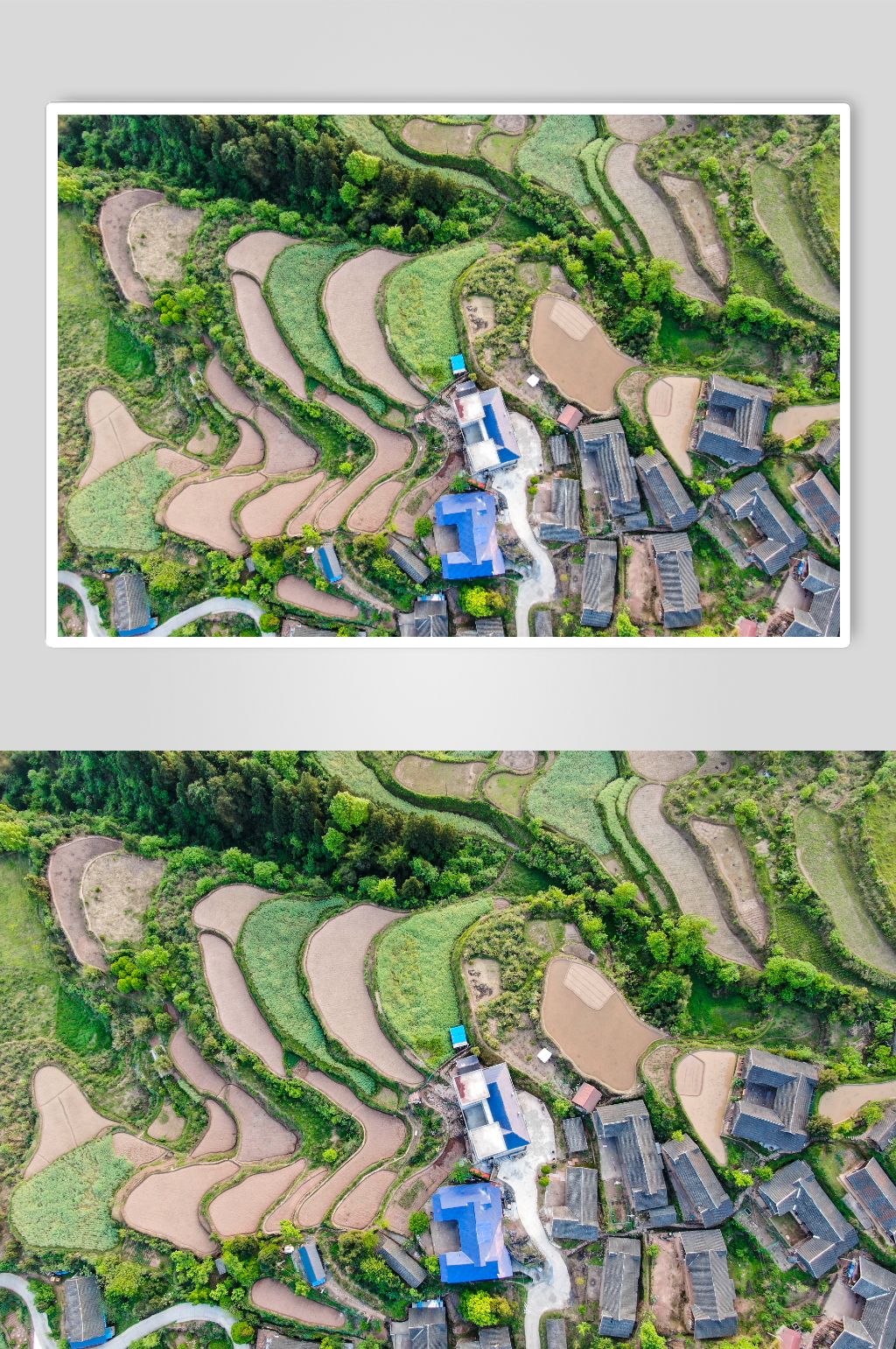 俯拍梯田农业种植农田素材