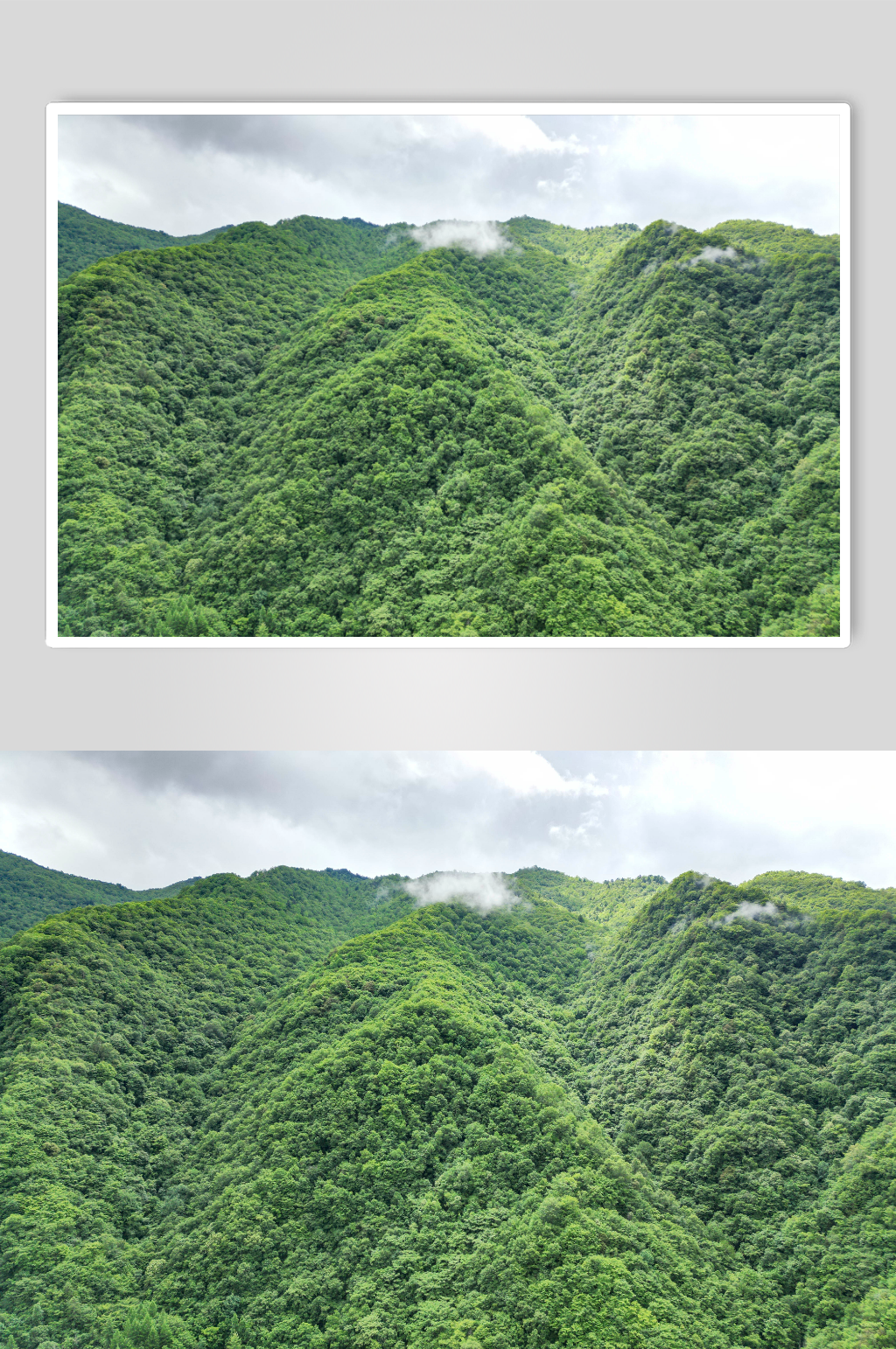 祖国大好山川森林航拍摄影图素材