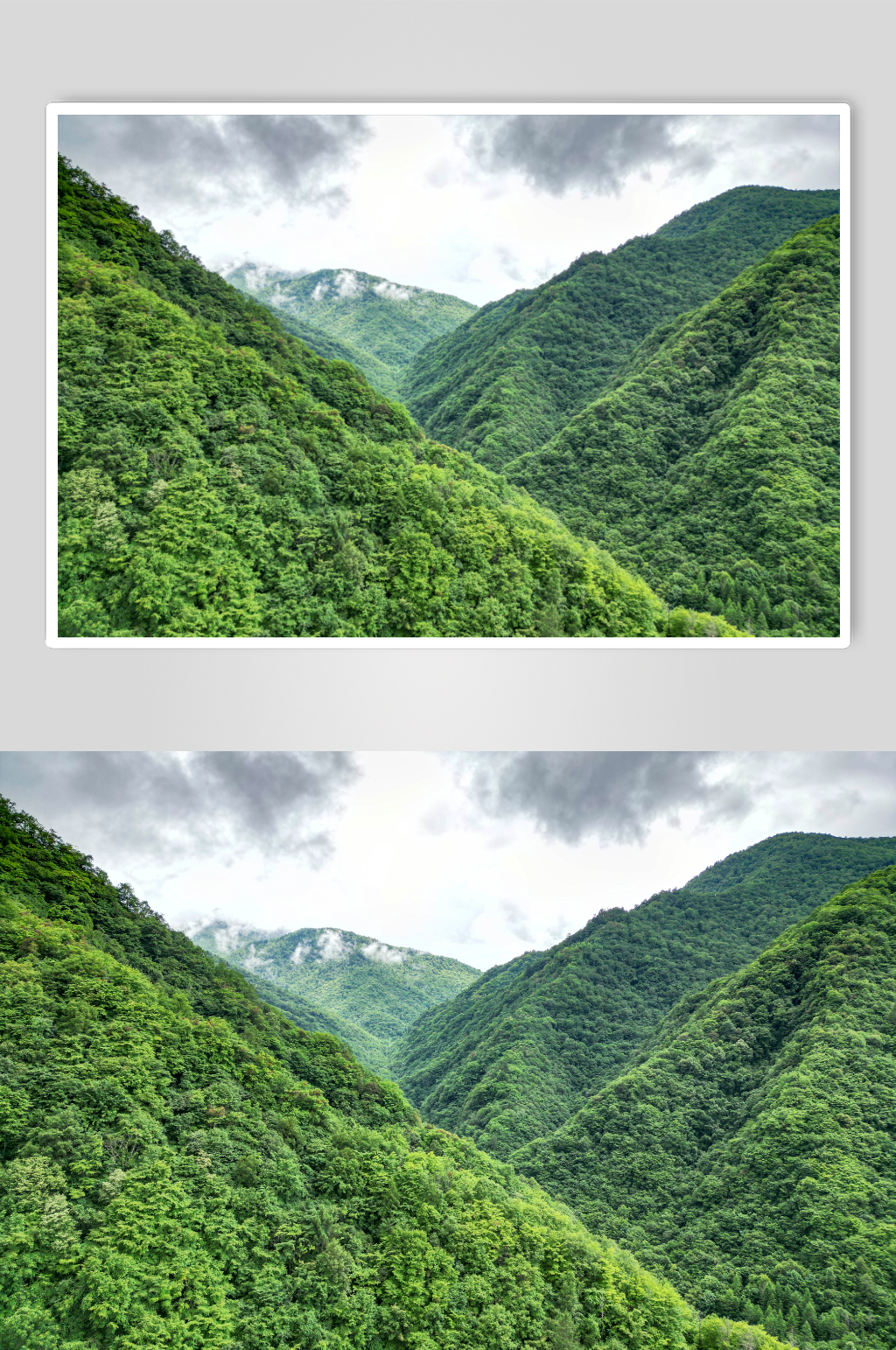 祖国大好山川森林航拍摄影图素材