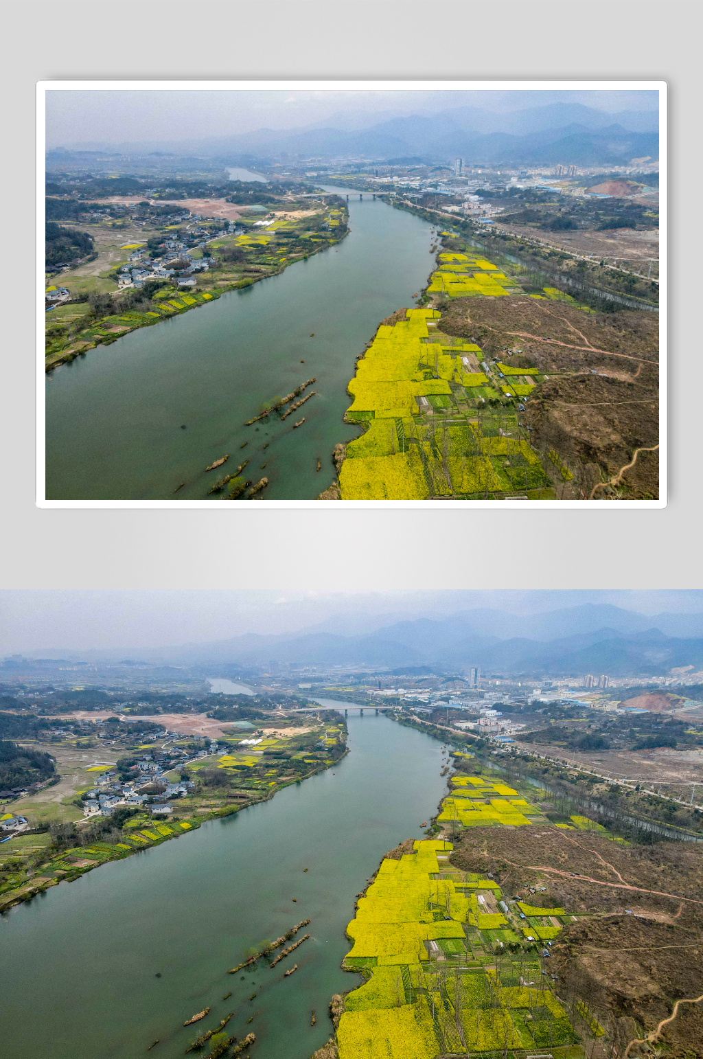自然风光乡村河流油菜花盛开航拍摄影图素材
