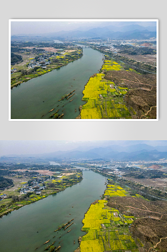 自然风光乡村河流油菜花盛开航拍摄影图