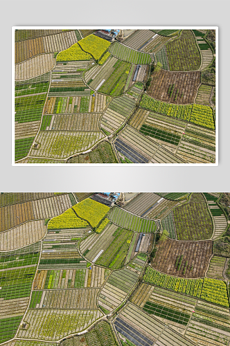 自然风光农业种植农作物航拍摄影图