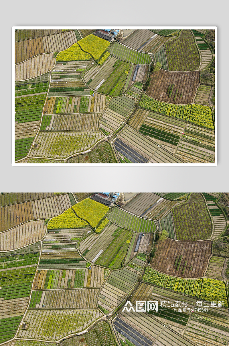 自然风光农业种植农作物航拍摄影图素材