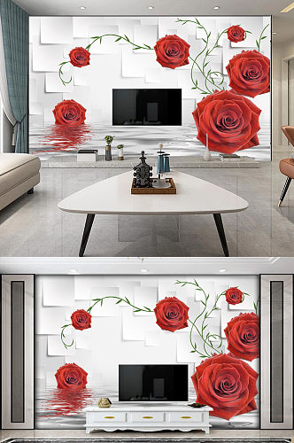 玫瑰倒影3D立体方块电视背景墙