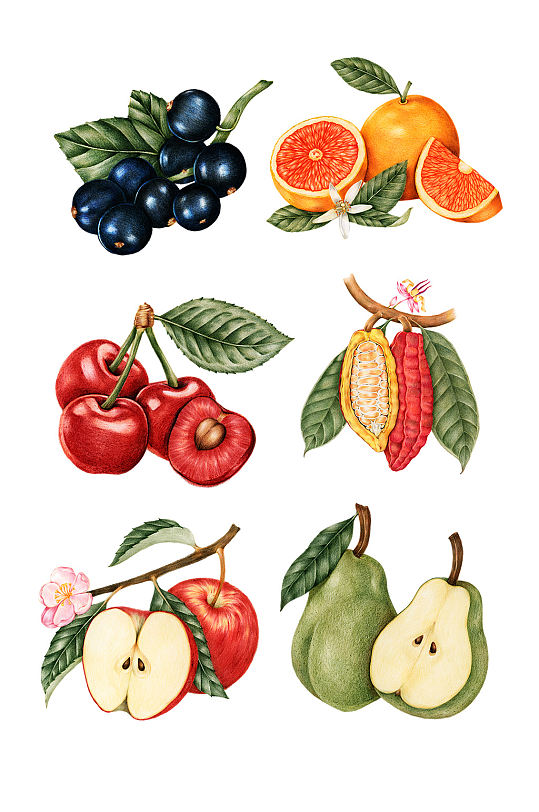 精美的瓜果蔬菜手绘