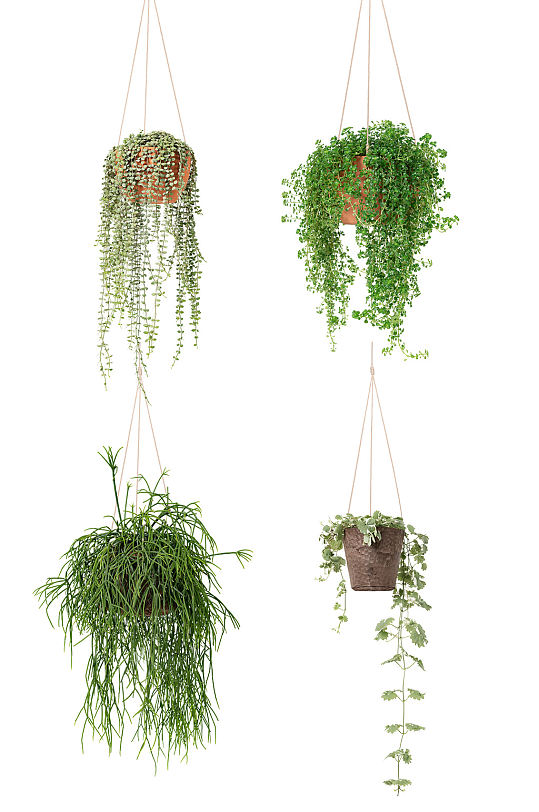 吊篮图片-吊篮素材下载-众图网