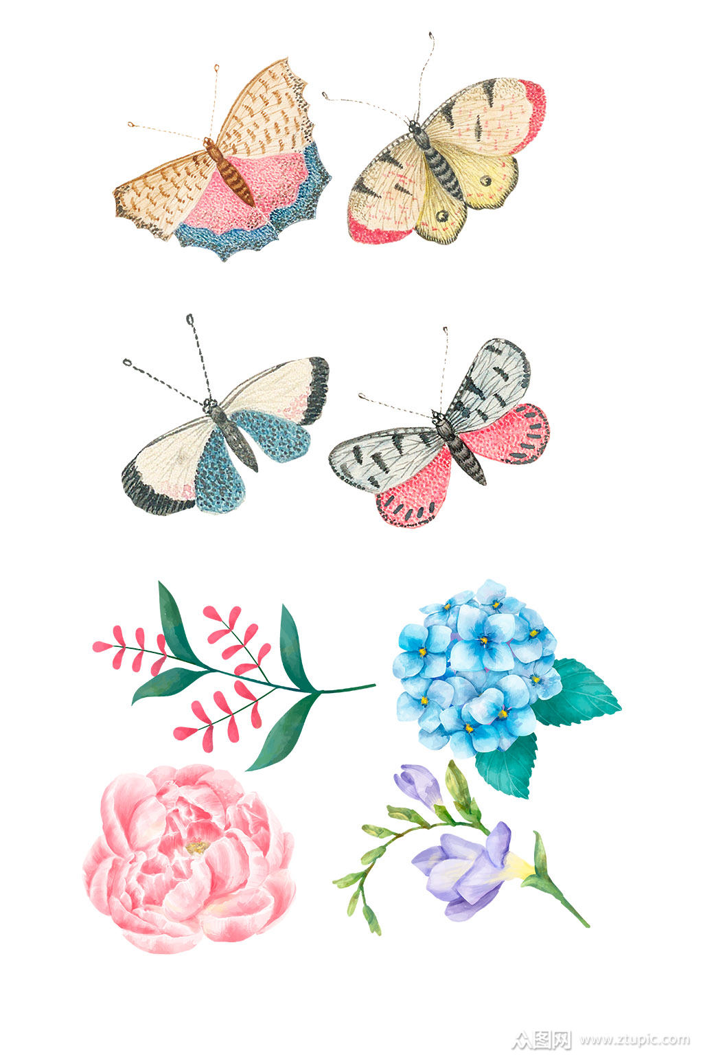 色彩丰富的蝶恋花设计元素素材