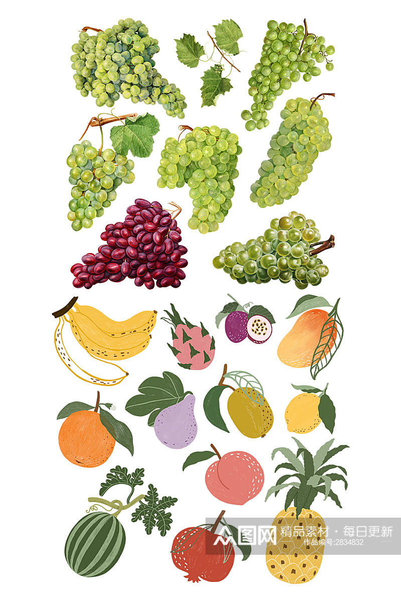 简洁大气的手绘葡萄水果素材