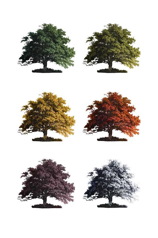 简洁大气不同季节的树