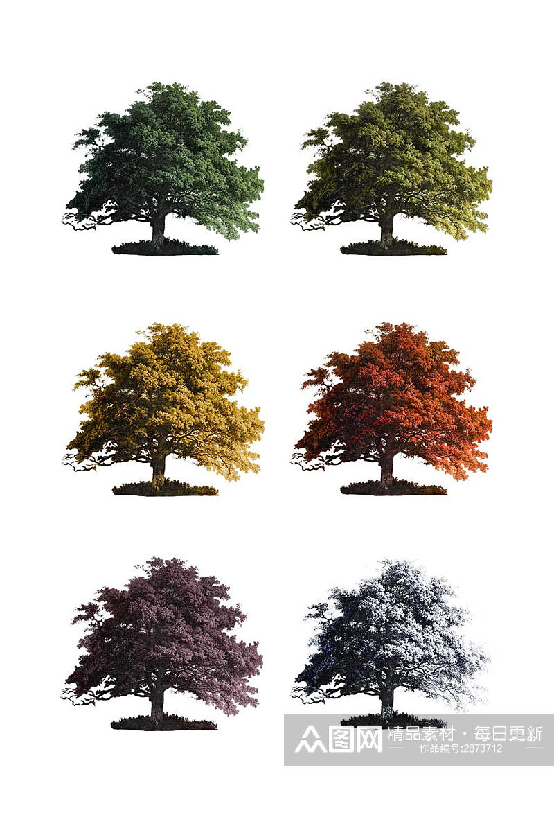 简洁大气不同季节的树素材