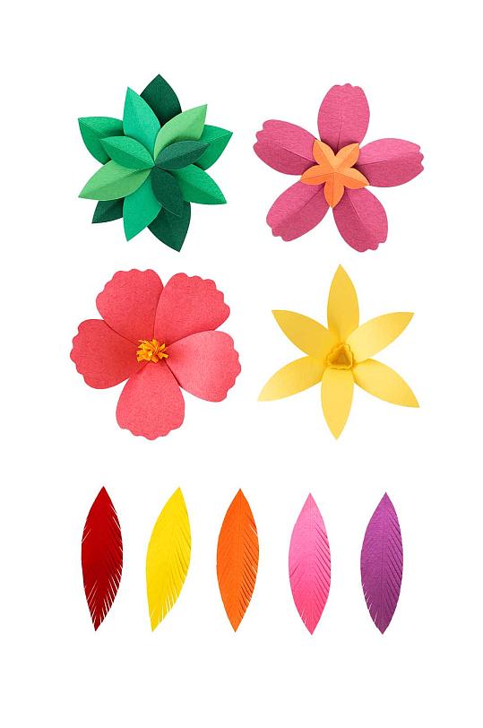 色彩鲜艳的衍纸花卉