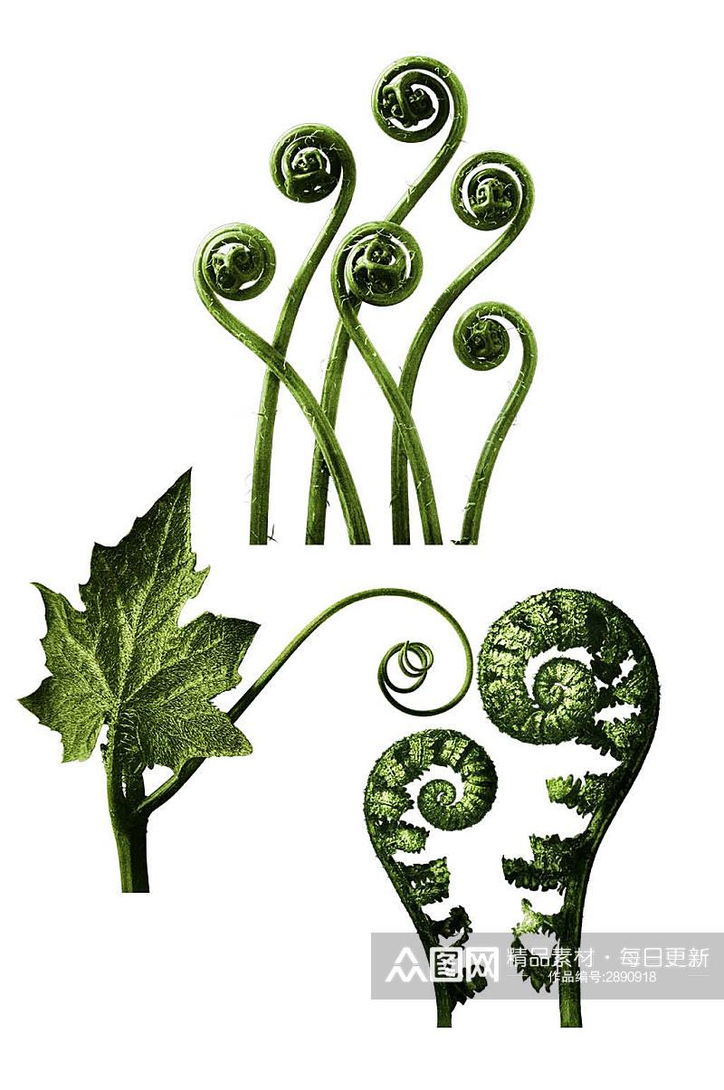 绿色造型植物设计元素素材